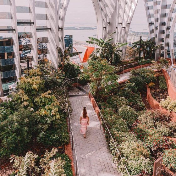 1-Arden Rooftop Terrace
