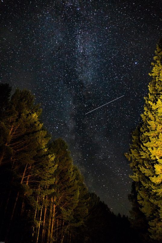 perseid meteor shower 2023 singapore usa uk best places where to watch when peak times dark sky reserve