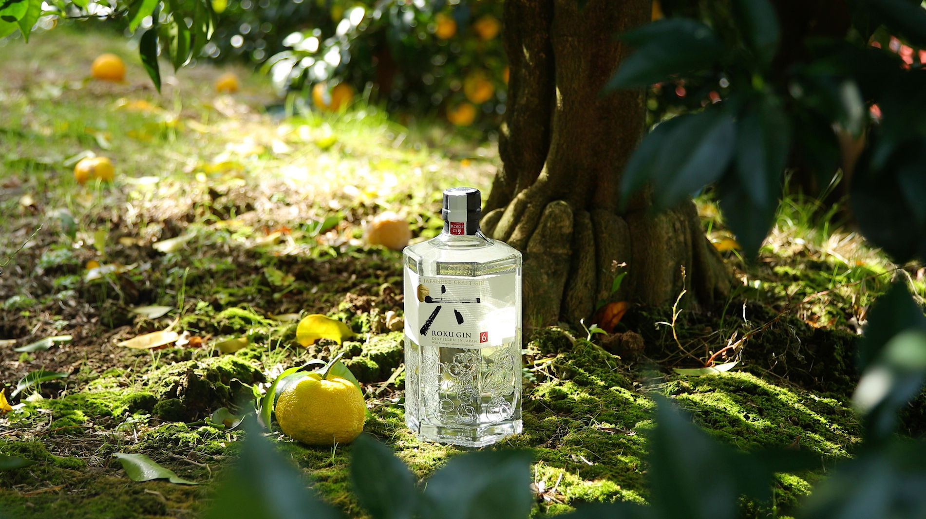 Roku Gin Купить