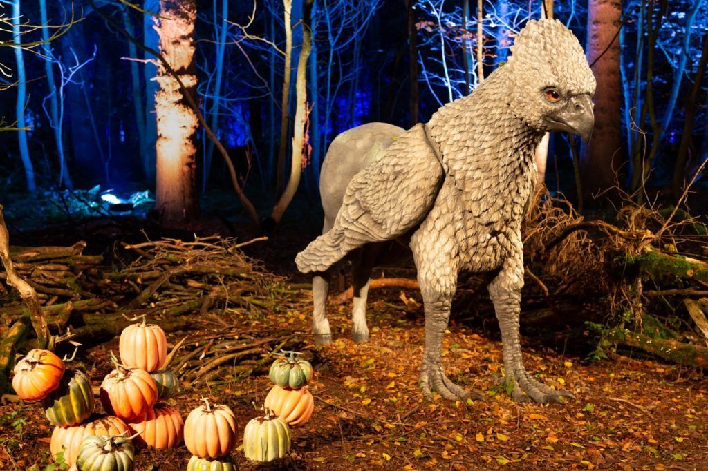 Harry Potter A Forbidden Forest Experience Singapore Hippogriff