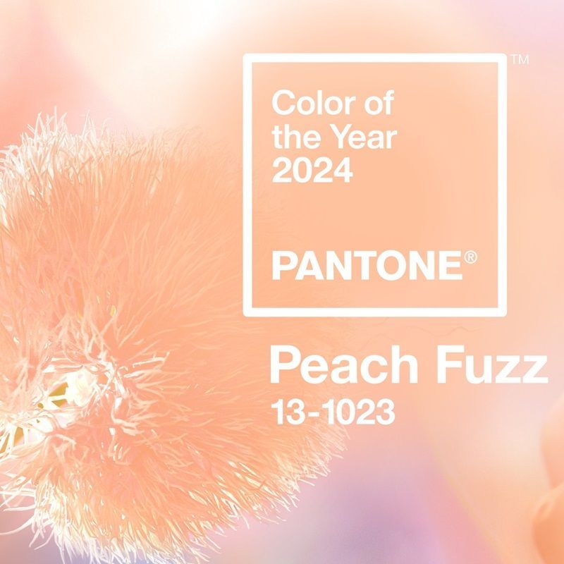 Peach Fuzz Named Pantone Color Of The Year For 2024