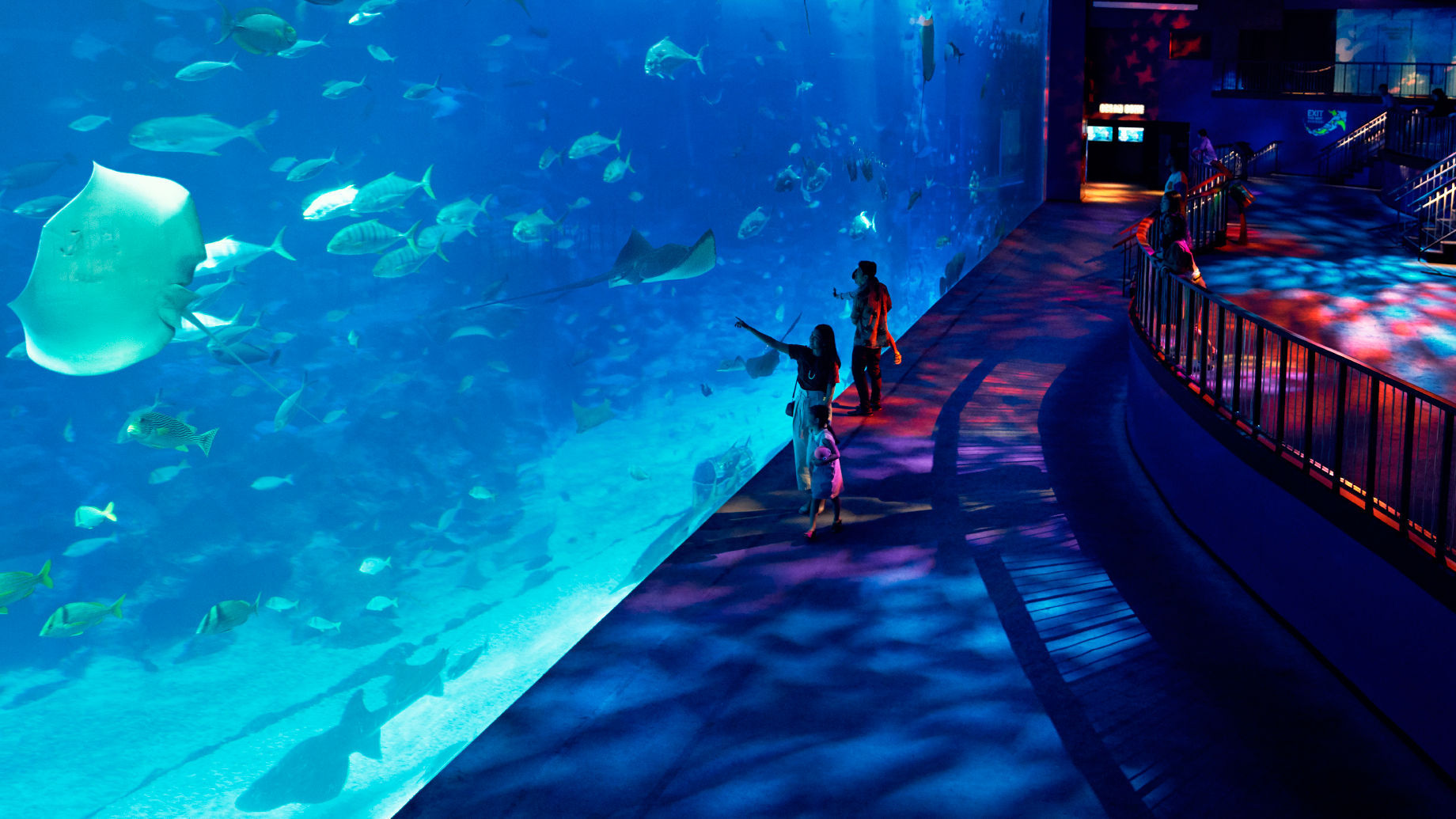 New Singapore Attractions In 2024 To Visit For A Day Full Of Adventures