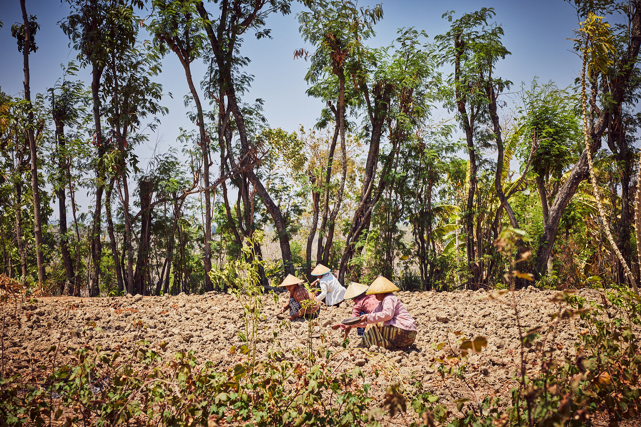 For All Mankind: Rolex Laureates are making the world a better place