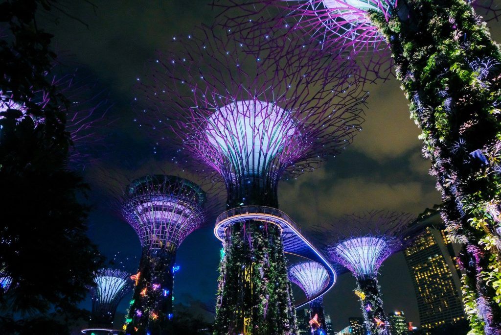 15 Fun And Free Things To Do In Singapore In 2024 (If You Are On A Budget)