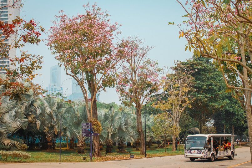 Gardens by the Bay Hazri Boey