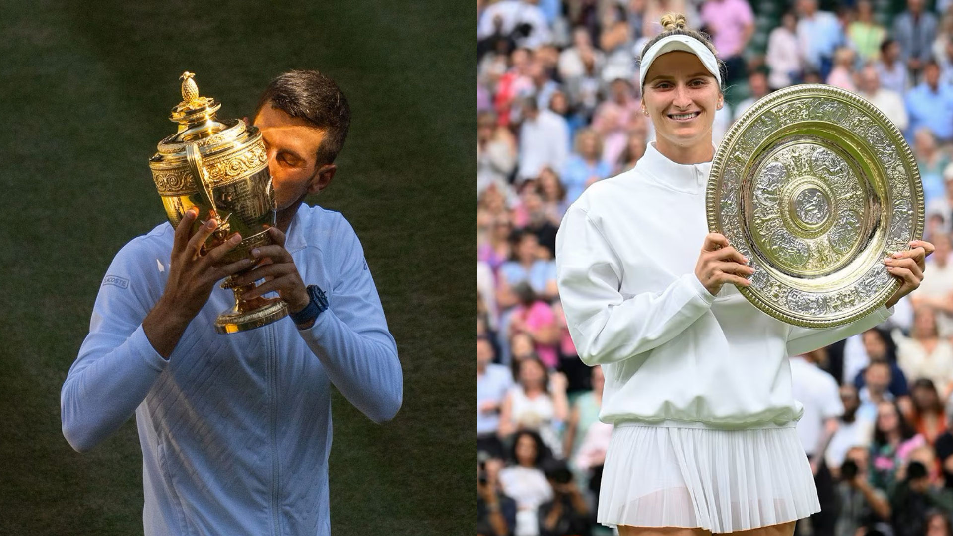 Wimbledon 2024 Top Seeds: Which Players Are Most Likely To Win The Coveted Tennis Title?