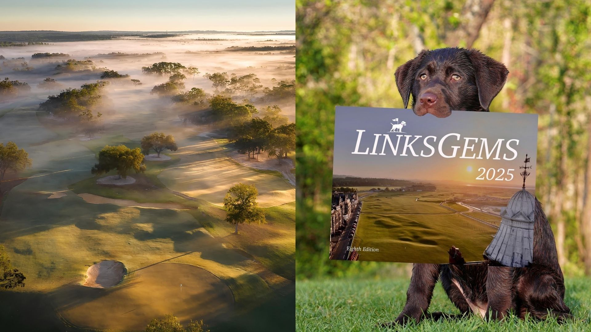 10 Best Instagram Accounts About All Things Golf - Augustman Singapore