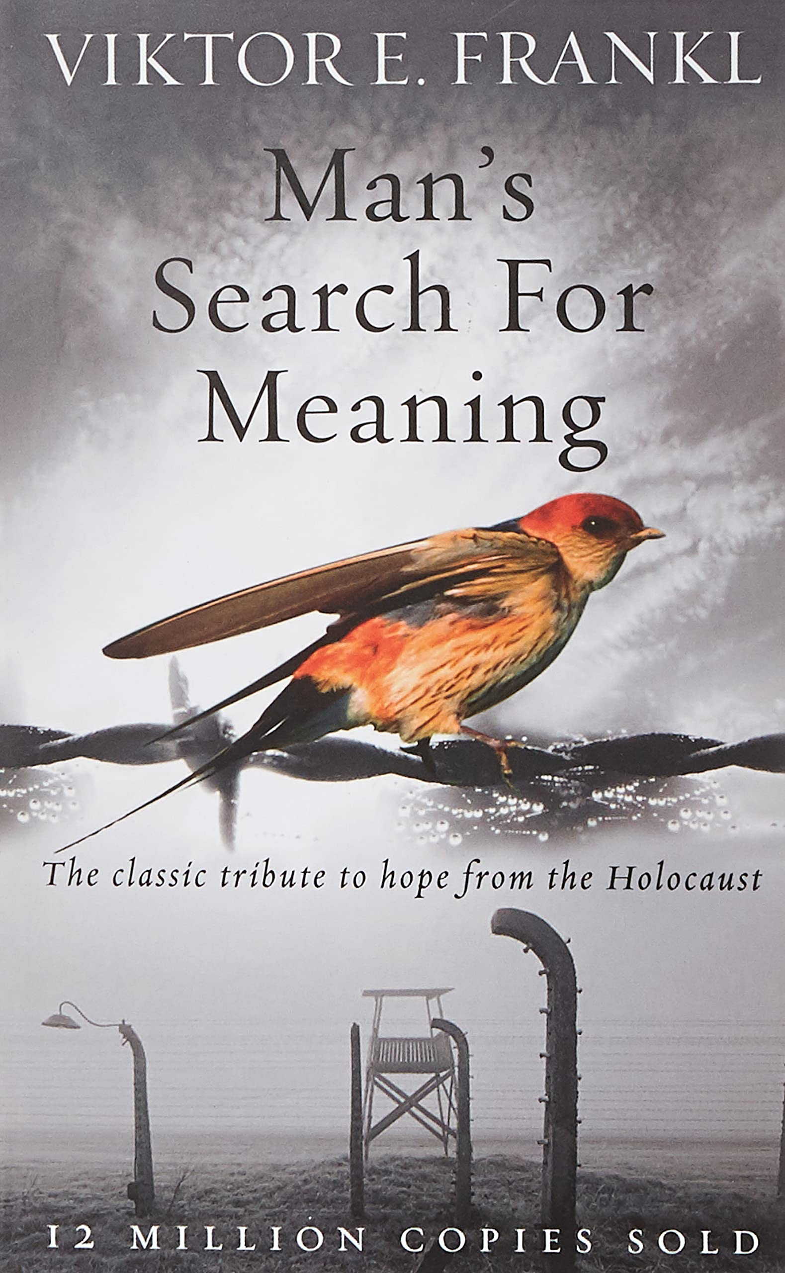 Man’s Search for Meaning