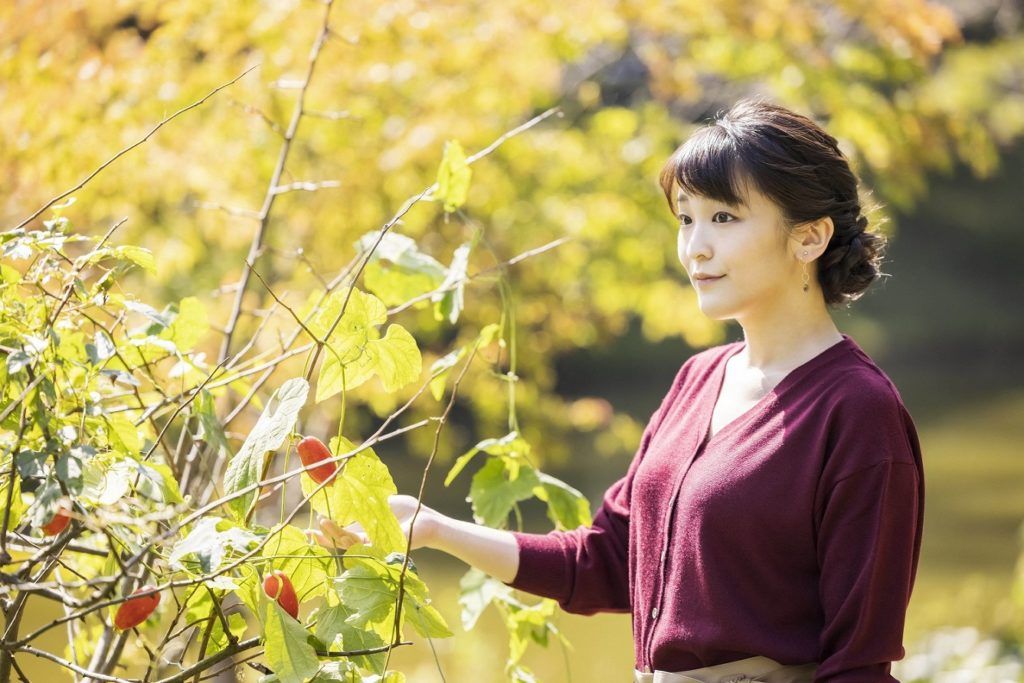 Princess Mako Of Japan Set To Marry Commoner Kei Komuro Amid Controversy