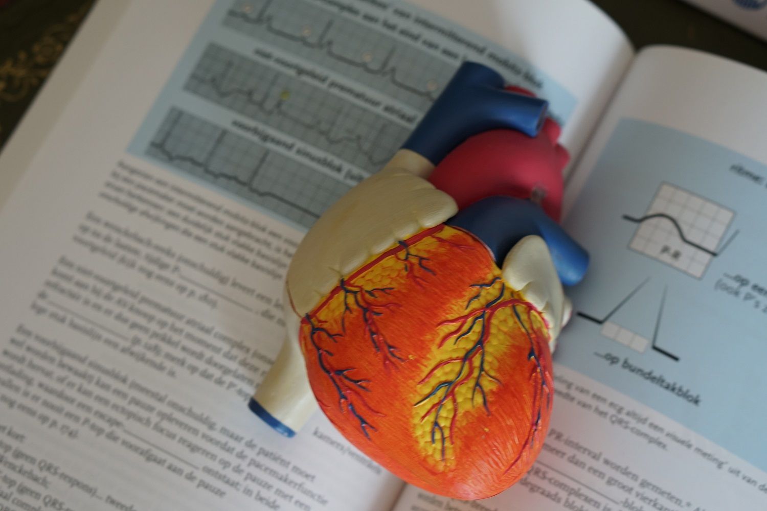 Heart Men