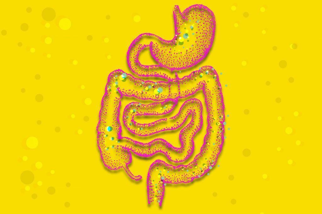 How Postbiotics Could Improve Your Gut Health