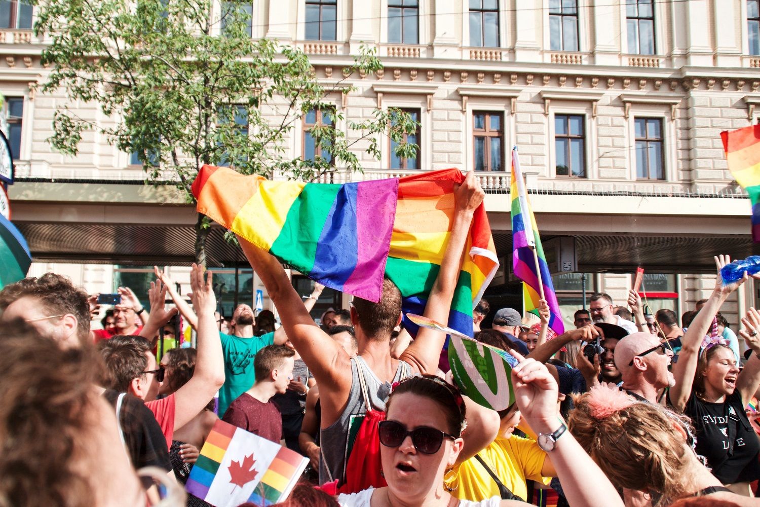 LGBTQIA+ terms