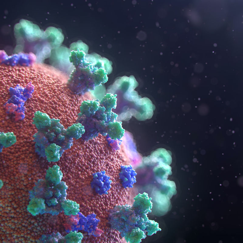 All You Need To Know About The Omicron Variant And The Safety Measures Recommended By WHO