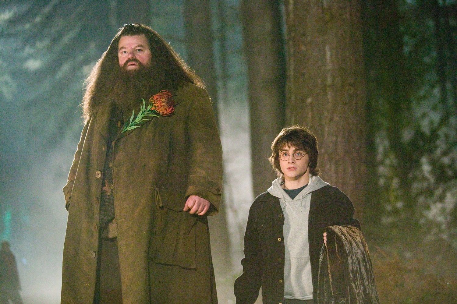 lesser-known facts about Harry Potter