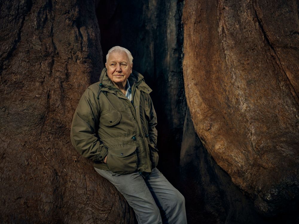 Get Your Nature And Drama Fix With These Shows On BBC Player This January 2022