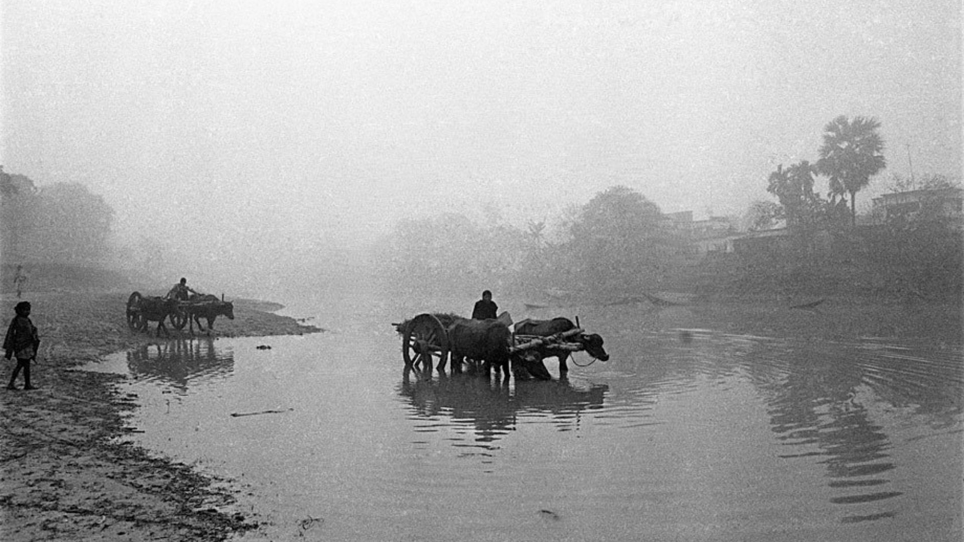 Asian photographers: Shahidul Alam
