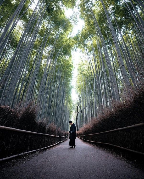 Popular Asian photographers: Kohki Yamaguchi