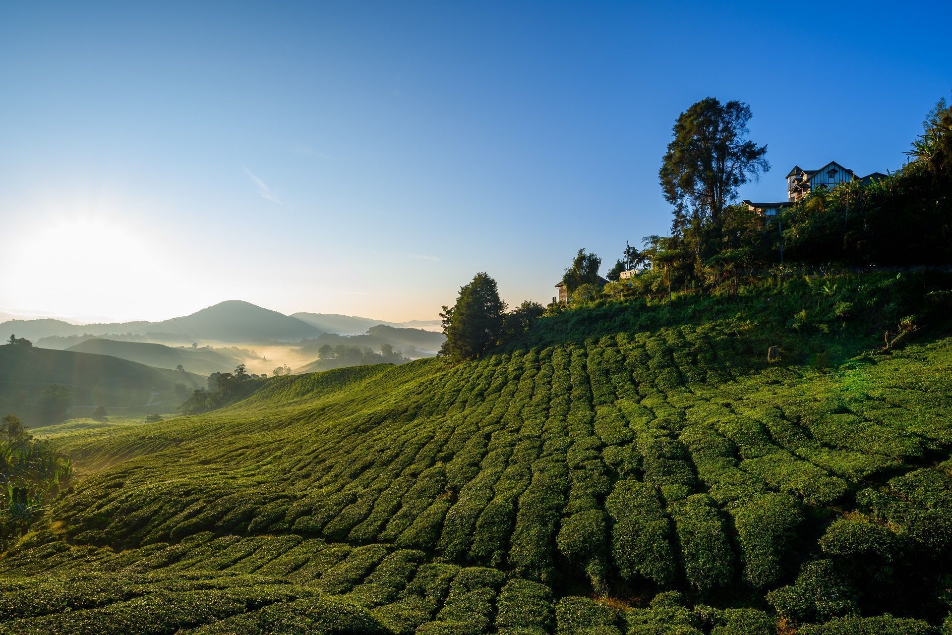 Pahang Hidden destinations southeast asia