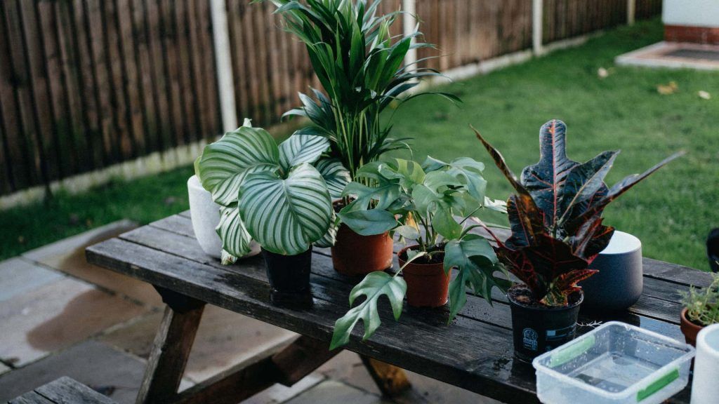 3 Unusual Yet Natural Ways To Save The Earth