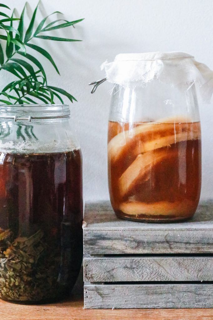 Jun vs kombucha