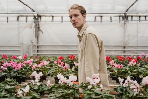 12 Of The Easiest Flowers To Grow In Your Garden