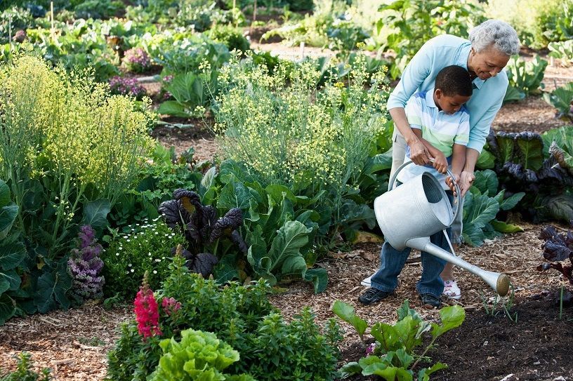 best time to water plants