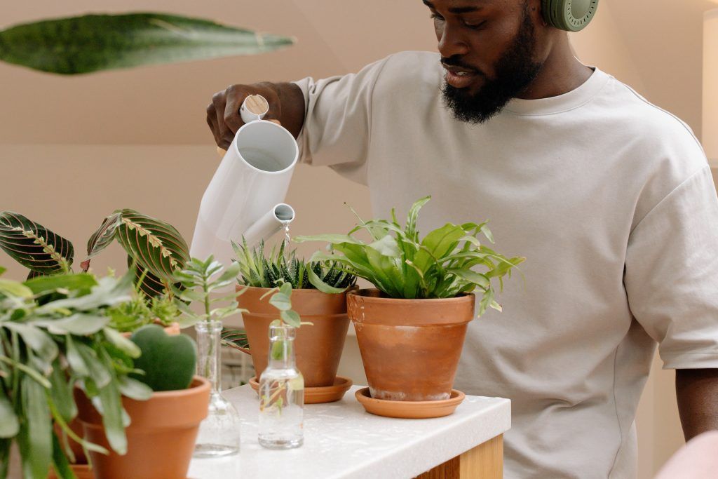 The Best And Worst Times To Water Indoor And Outdoor Plants, According To Gardening Experts