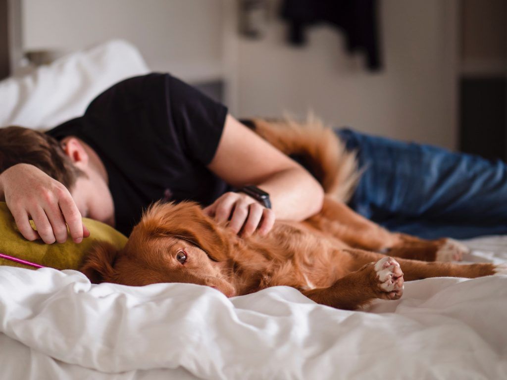 how to treat insomnia and tips for better sleep