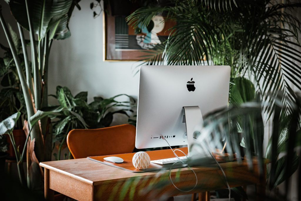 What is A Biophilic Office, And How Plants Can Boost Productivity In Your Workspace