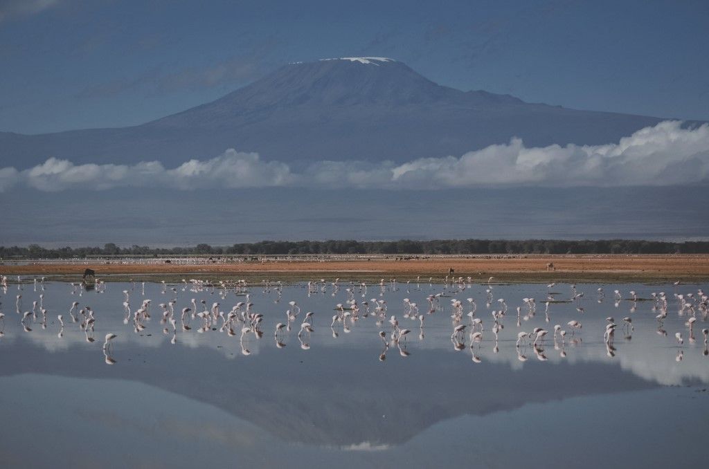 Mount Kilimanjaro internet