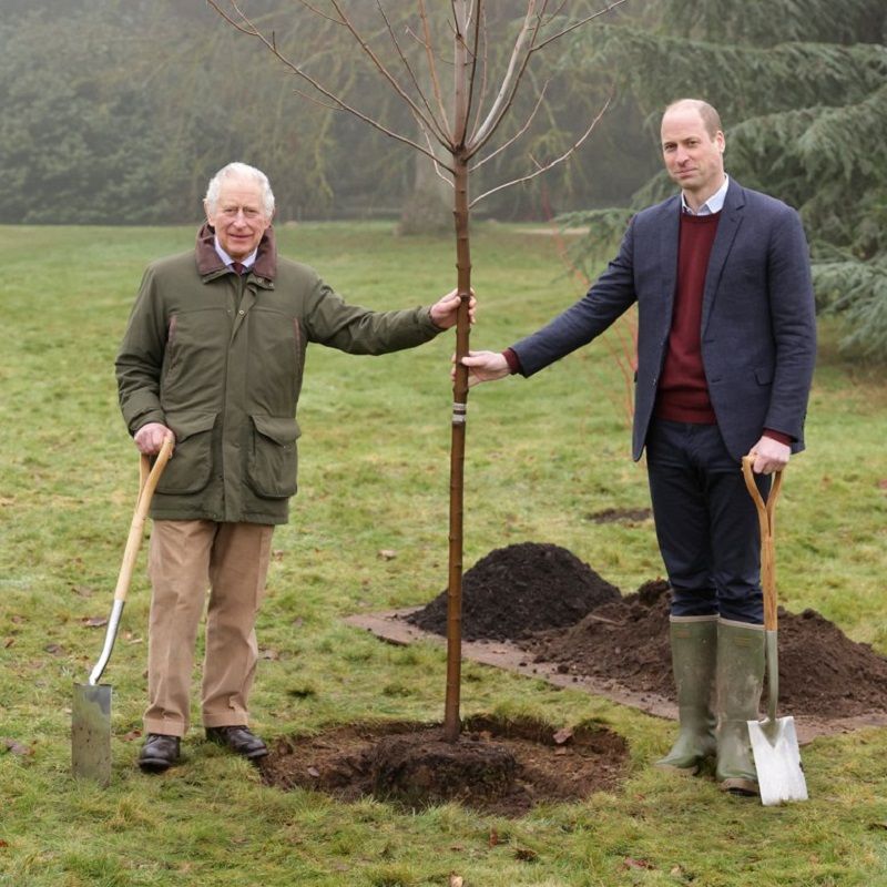 British Royal Family: Guide To The Line Of Succession To The Throne British Royal Family: Guide To The Line Of Succession To The Throne