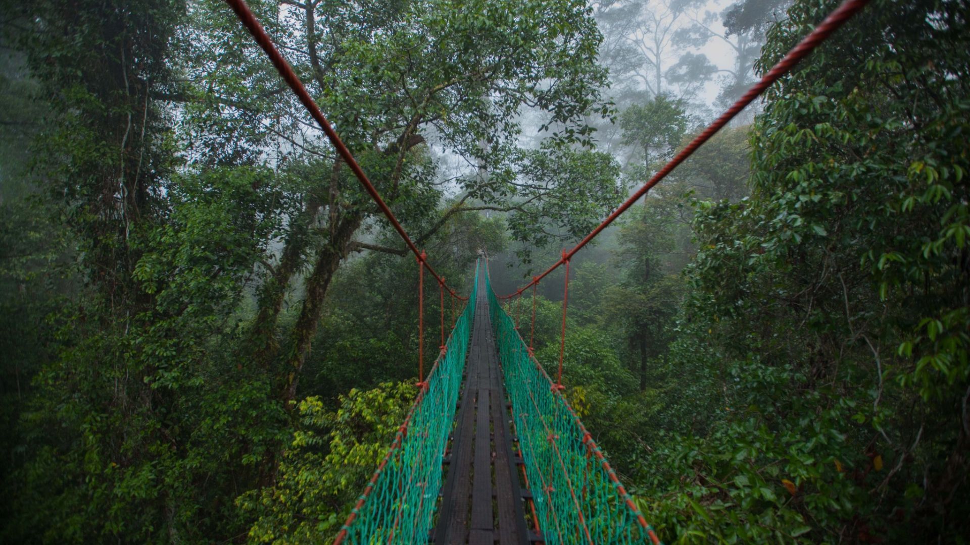 Danum Valley, malaysia most beautiful destinations in Asia