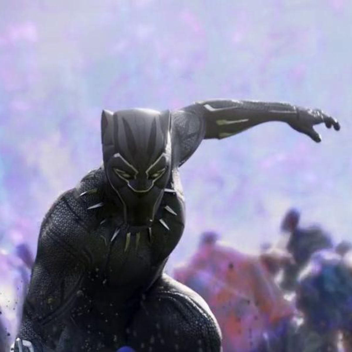 Marvel's Black Panther becomes a Carolina Panther! : r/panthers