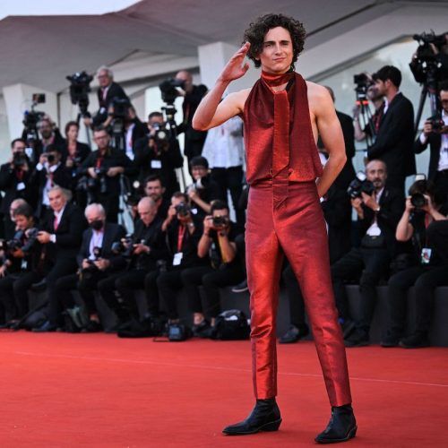 Harry Styles To Timothée Chalamet: 10 Celebrities Who Disrupted Fashion Codes This Year