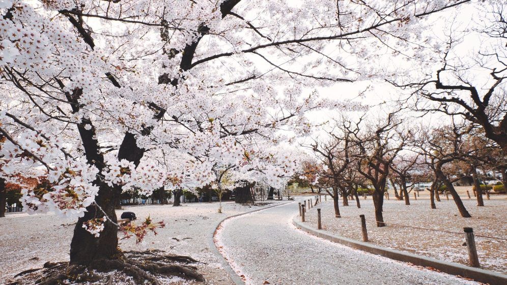 Nagano, Japan