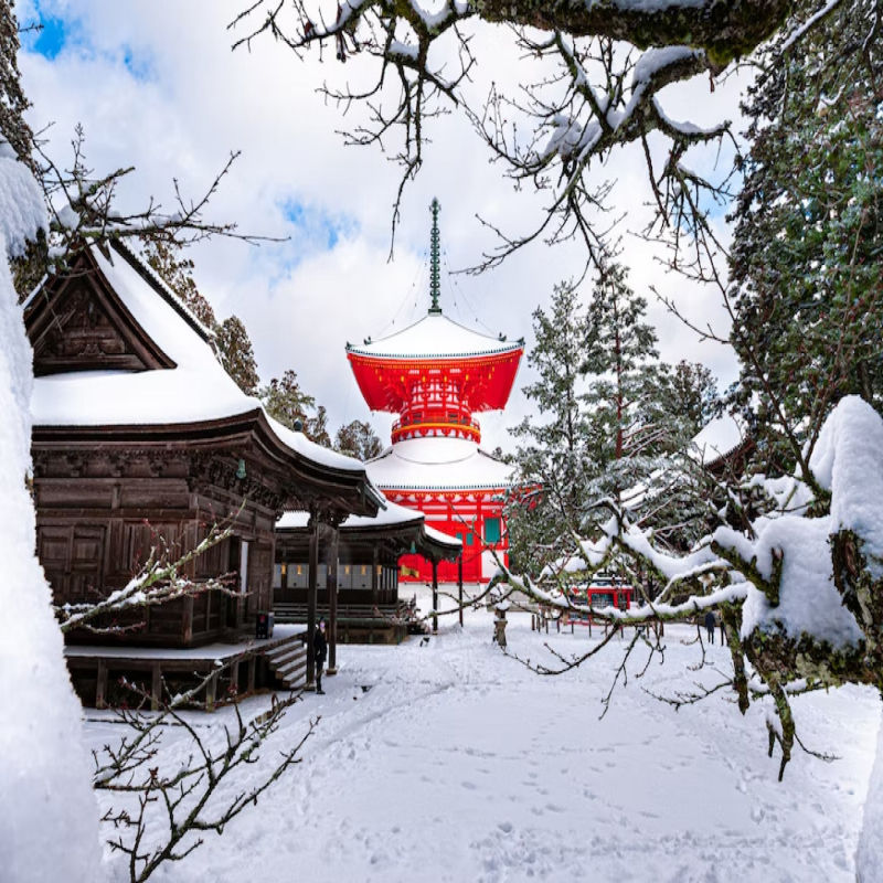 Go On A Festive Getaway To These Breathtaking Destinations In Asia