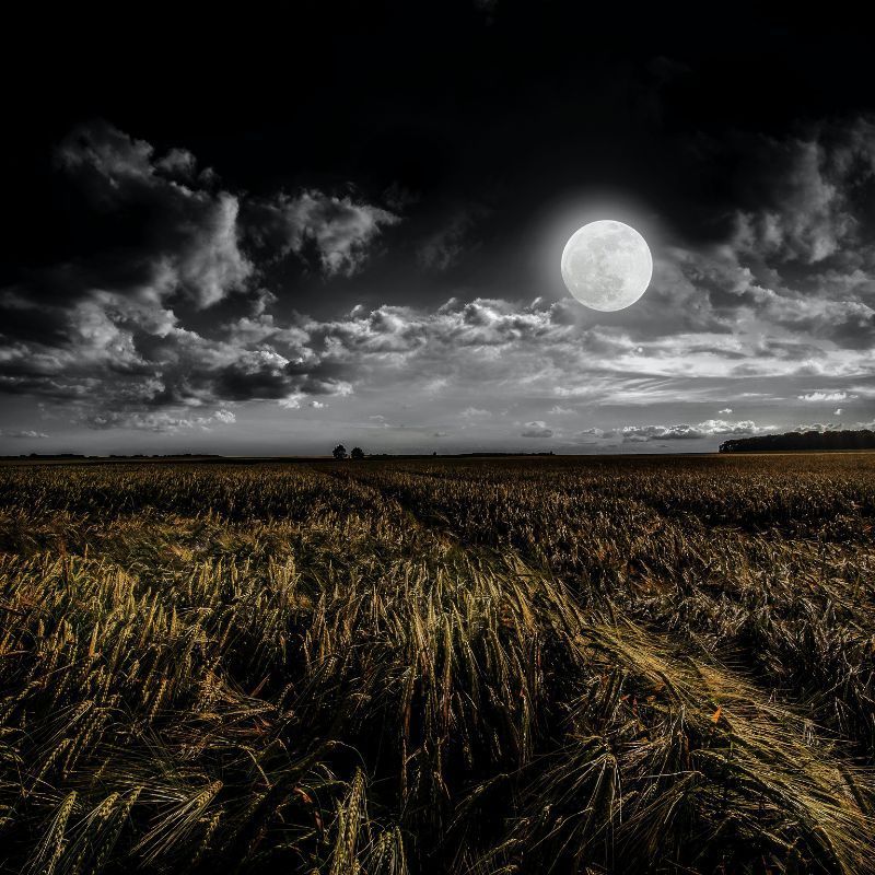 Full Moons In 2023 And How They Influence The 12 Zodiac Signs