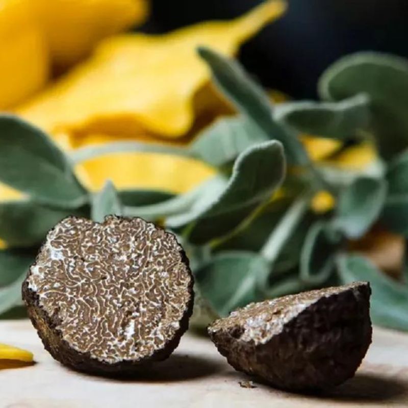 Everything You Need To Know About Truffles