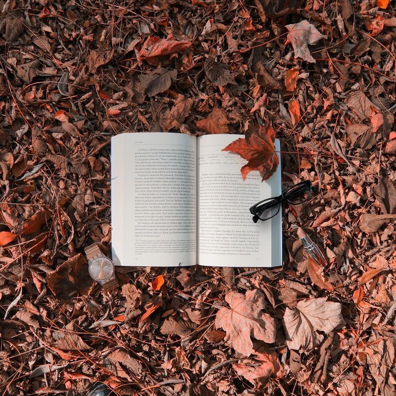 15 Of The Most Enthralling Detective Novels You Won’t Be Able To Put Down