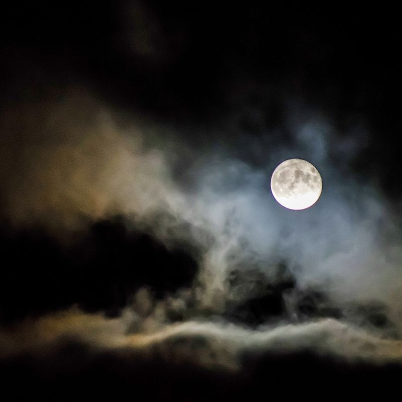 Wolf Moon 2023: How The First Full Moon Of The Year Influences The Zodiacs