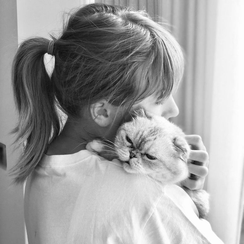 Taylor Swift’s Cat Olivia Benson And Other Richest Celebrity Pets Living Their Best Lives