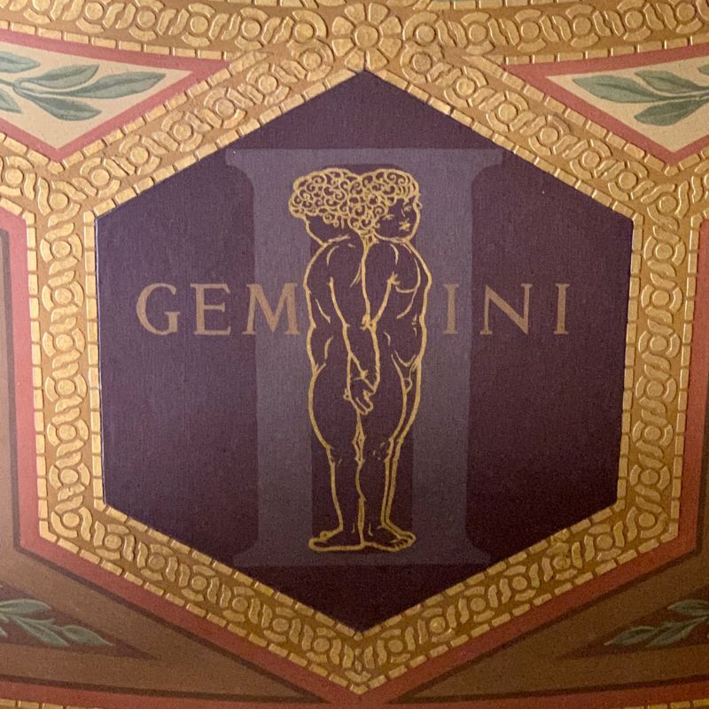 Flower moon - gemini