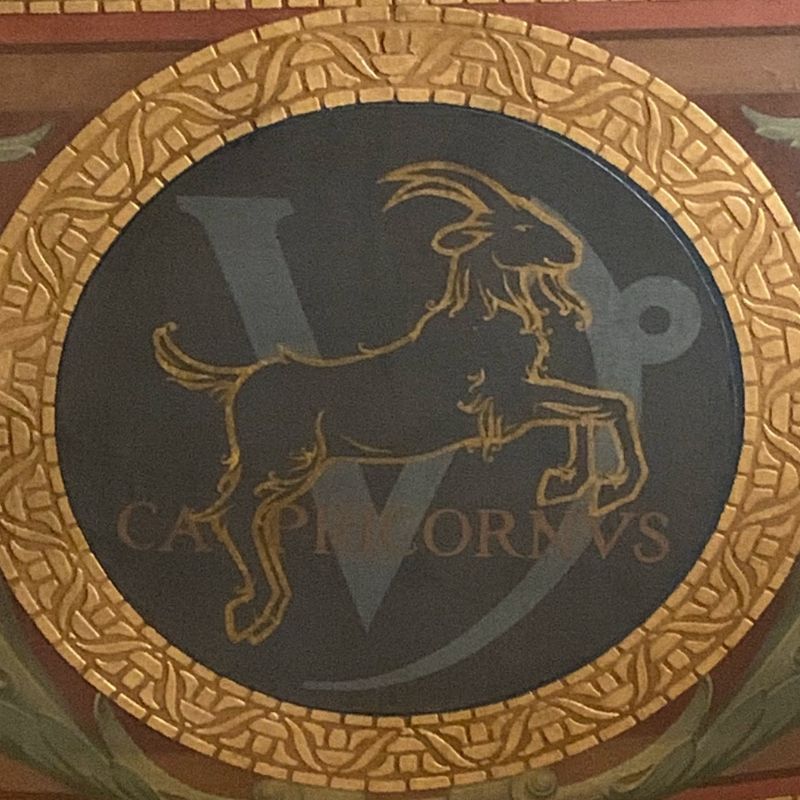 Flower moon - capricorn