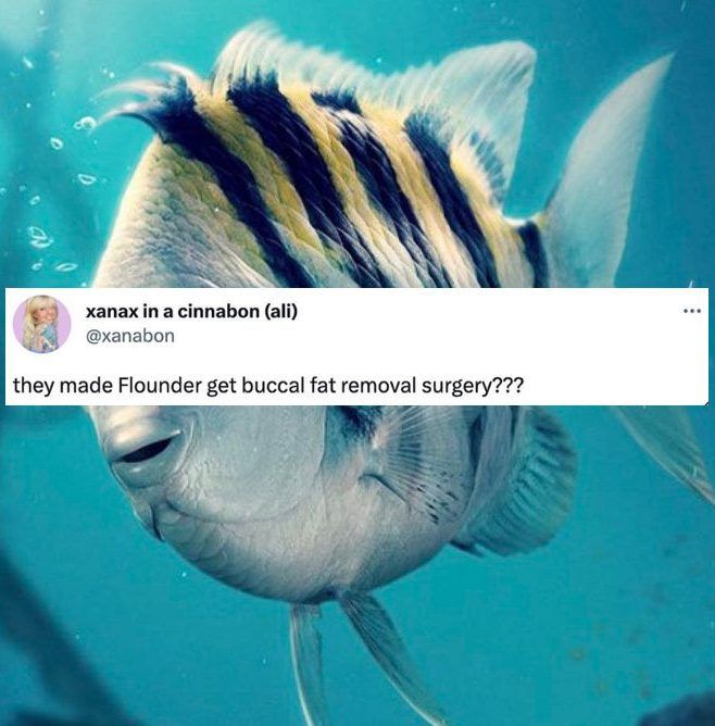 ‘The Little Mermaid’ Trailer: Our Favourite Reactions And Memes