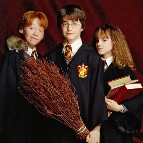 From Daniel Radcliffe To Emma Watson, What Is The Harry Potter Cast Up To These Days?