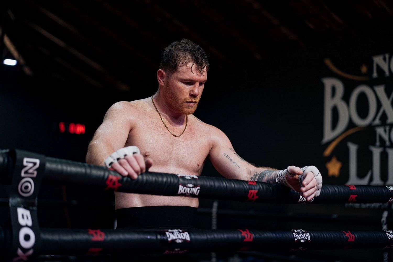 Canelo richest athletes