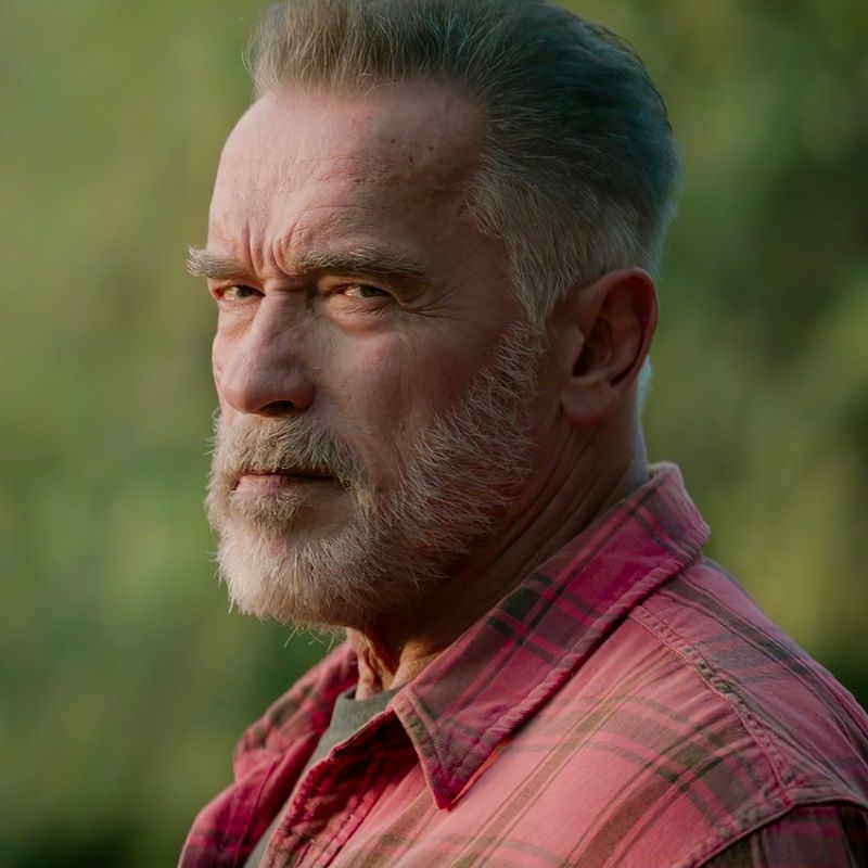 Arnold Schwarzenegger’s Net Worth: His Career Earnings, Luxury Assets And More