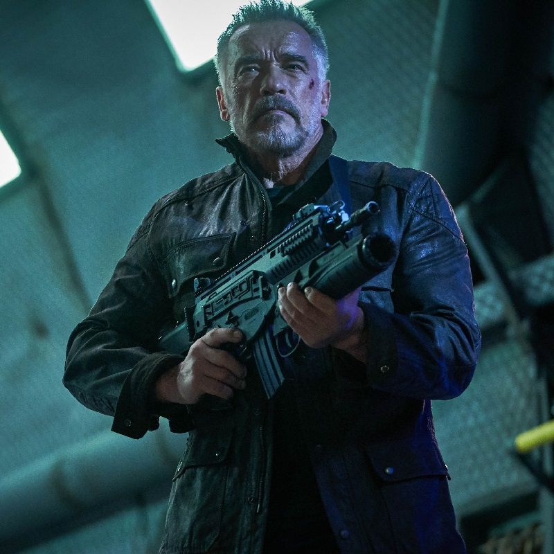 Best Arnold Schwarzenegger Movies To Watch If You Love Action Films