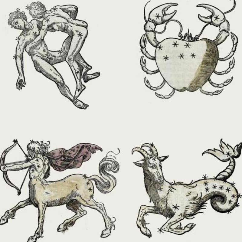 Everything We Know About Fixed Zodiac Signs: Taurus, Leo, Scorpio And Aquarius