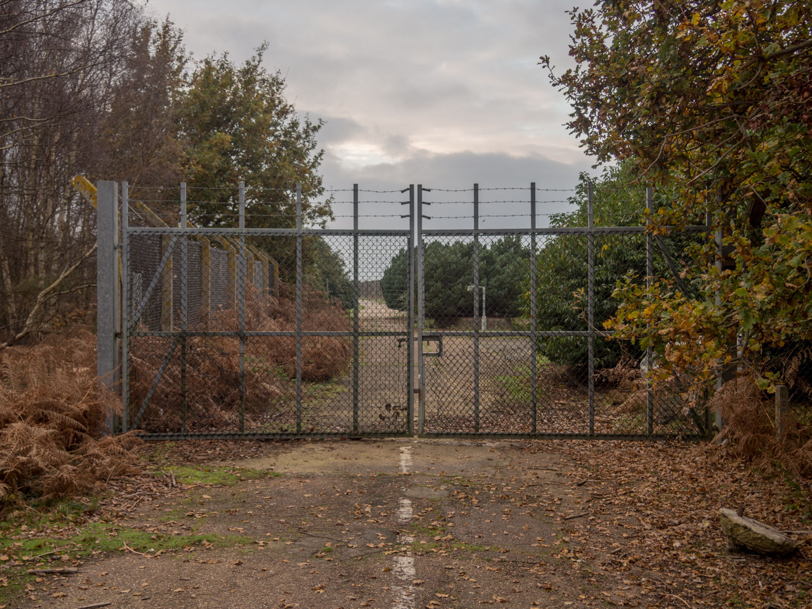 UFO sightings Rendlesham